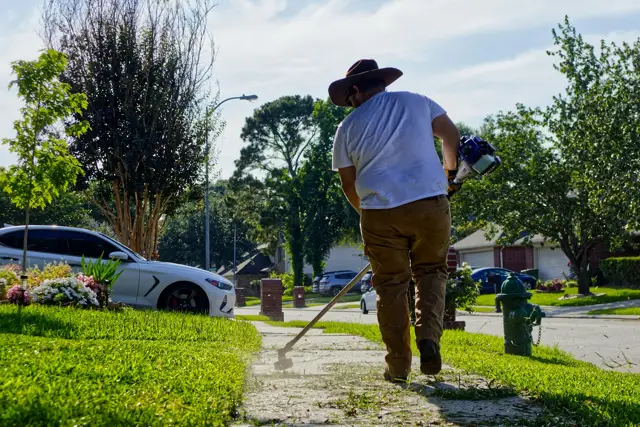 Trimming the lawn edge along a sidewalk